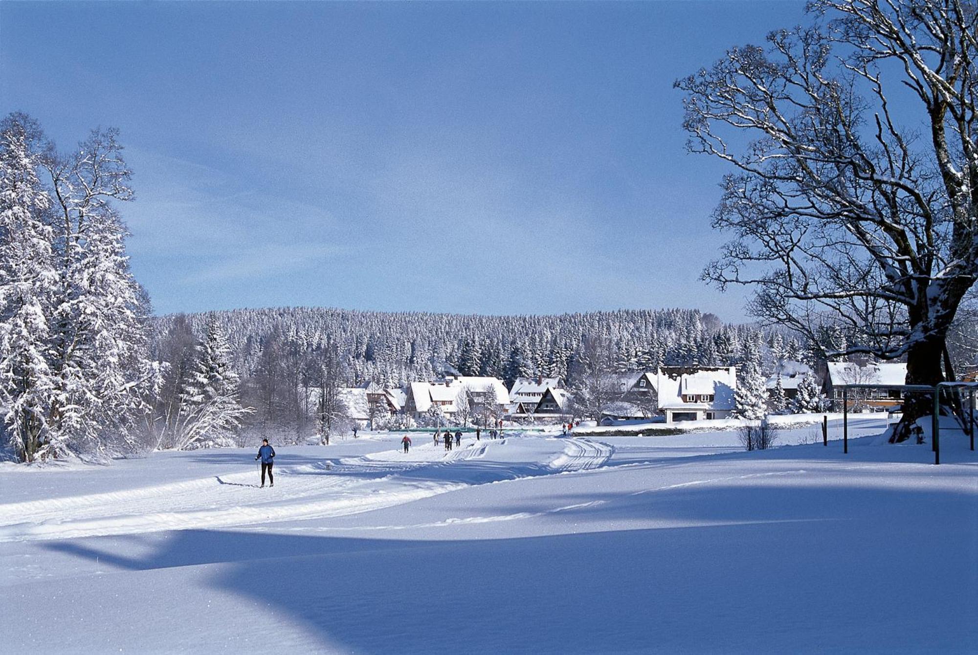 Drei Tannen - Wohnung 09 - Apartmenthaus, Titisee, Feldberg Екстериор снимка