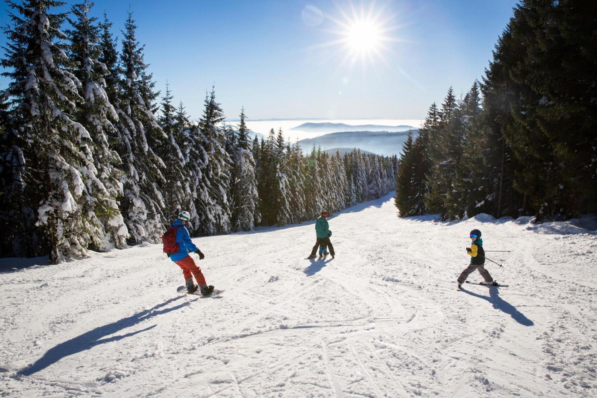 Drei Tannen - Wohnung 09 - Apartmenthaus, Titisee, Feldberg Екстериор снимка