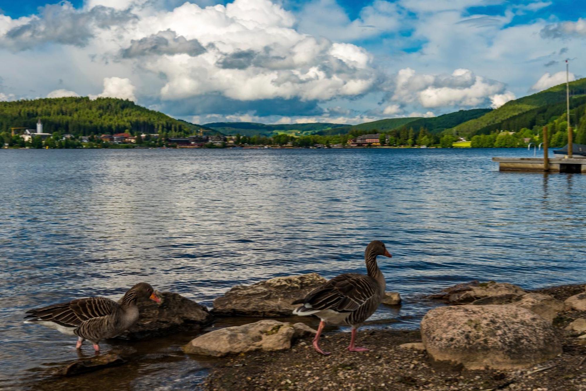 Drei Tannen - Wohnung 09 - Apartmenthaus, Titisee, Feldberg Екстериор снимка