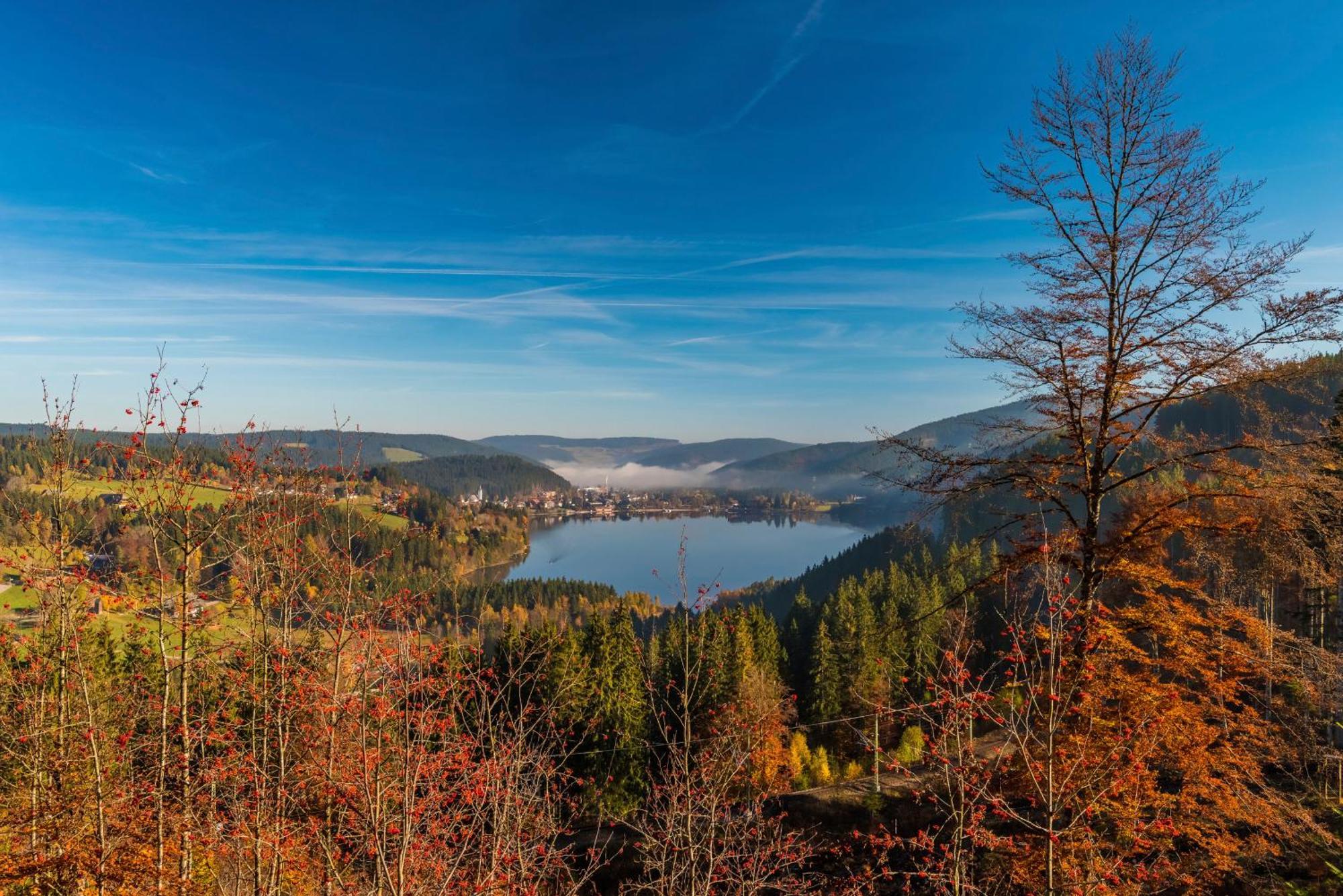 Drei Tannen - Wohnung 09 - Apartmenthaus, Titisee, Feldberg Екстериор снимка